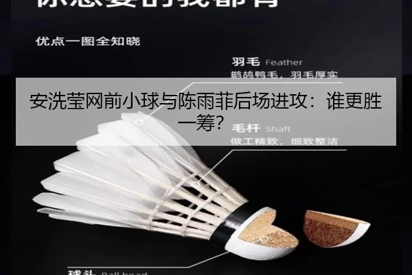 安洗莹网前小球与陈雨菲后场进攻:谁更胜一筹?