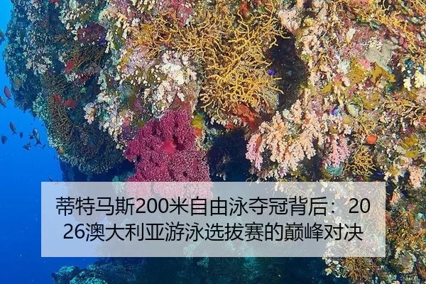 蒂特马斯200米自由泳夺冠背后：2026澳大利亚游泳选拔赛的巅峰对决