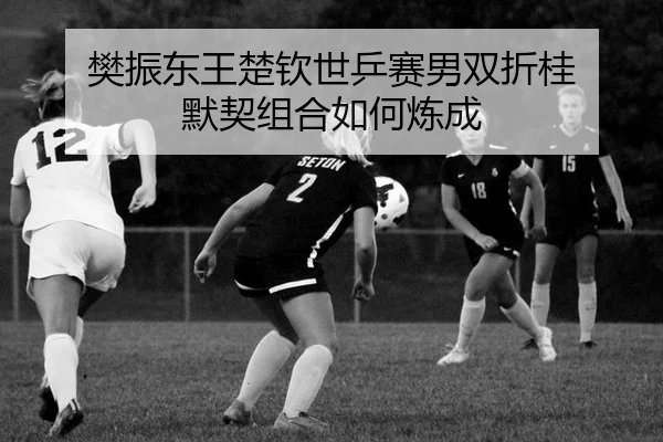 fan-zhen-dong-wang-chu-qin-shi-ping-sai-nan-shuang-zhe-gui-mo-qi-zu-he-ru-he-lian-cheng-3-671.jpg