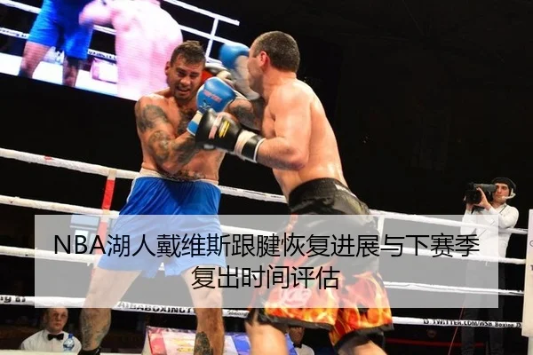 NBA湖人戴维斯跟腱恢复进展与下赛季复出时间评估