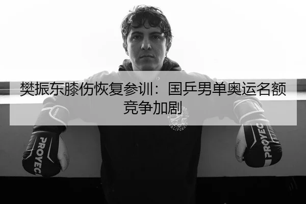 樊振东膝伤恢复参训：国乒男单奥运名额竞争加剧